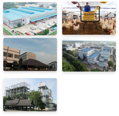 cheil jedang (cj) phils., inc. photos|History .